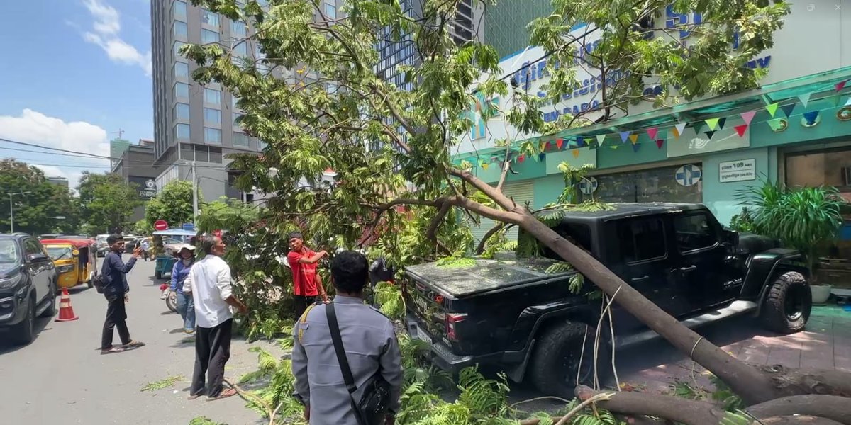 隆边区St 63树木倒塌压损Jeep车 现场已清理