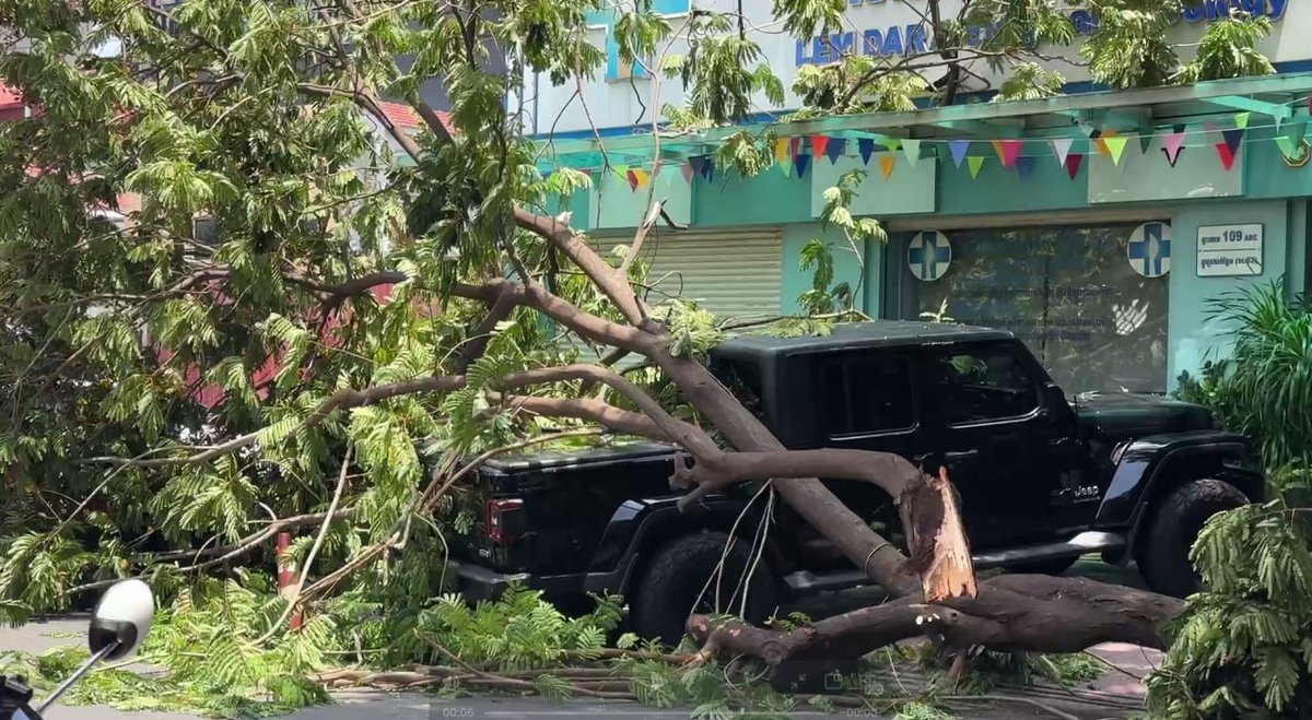 隆边区St 63树木倒塌压损Jeep车 现场已清理