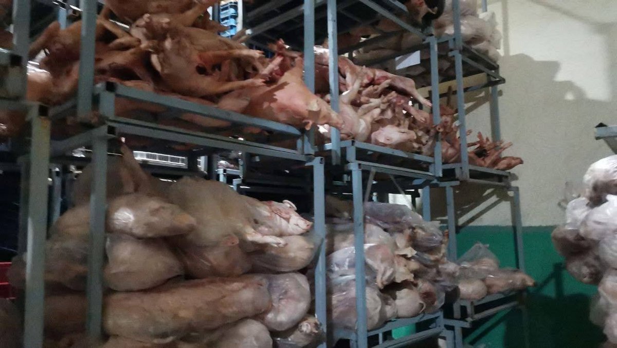 森速区大型冷冻肉仓库遭突击检查 涉嫌非法进口泰国肉类