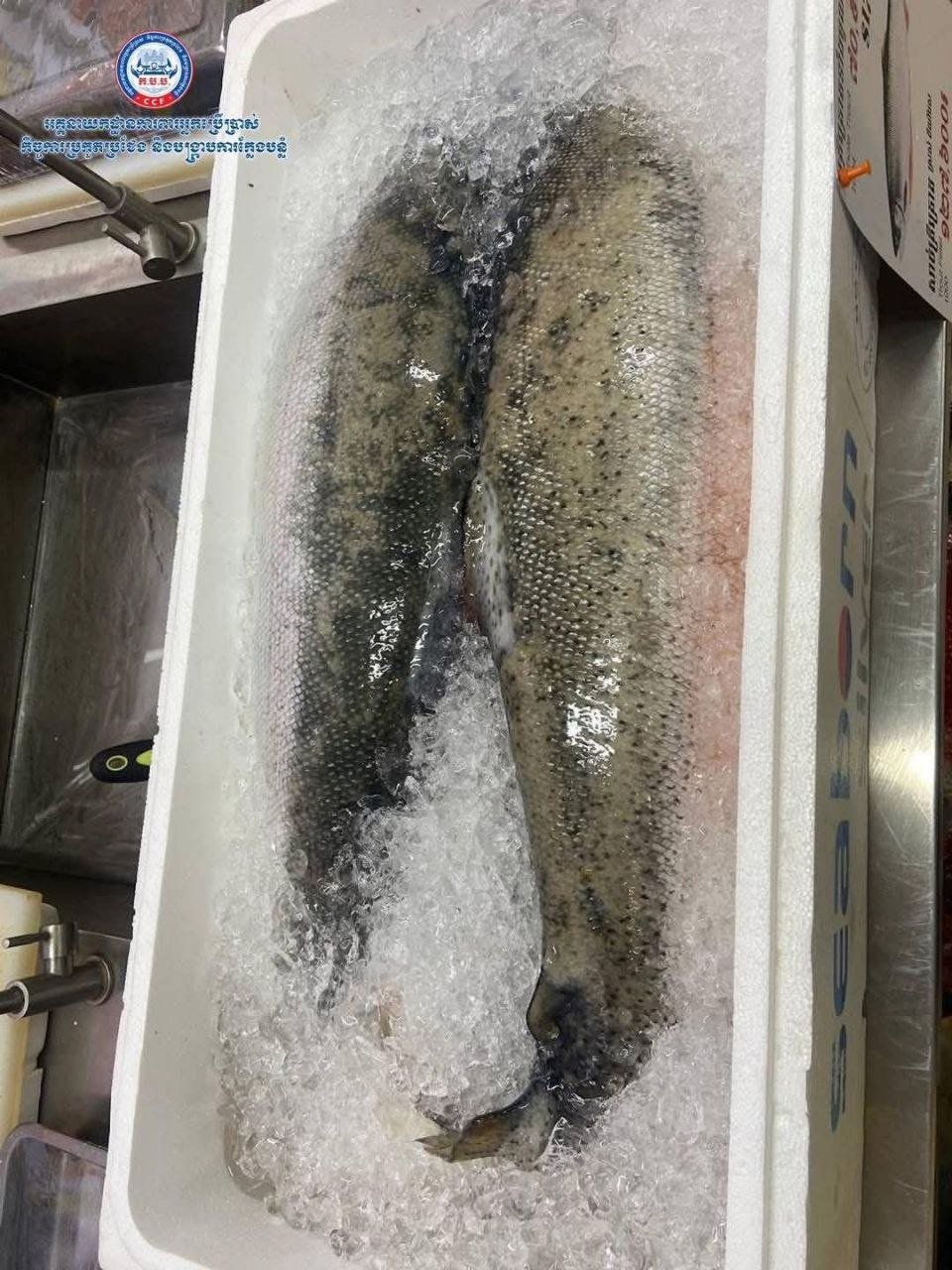 Chornai餐厅混淆三文鱼与鳟鱼 涉嫌违反食品安全法