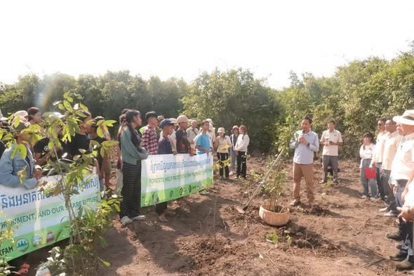 暹粒省普克县启动湿地植树活动 共种植2500棵树苗