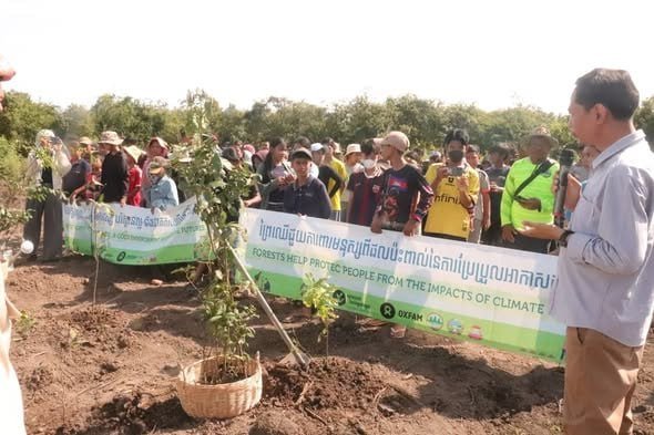 暹粒省普克县启动湿地植树活动 共种植2500棵树苗