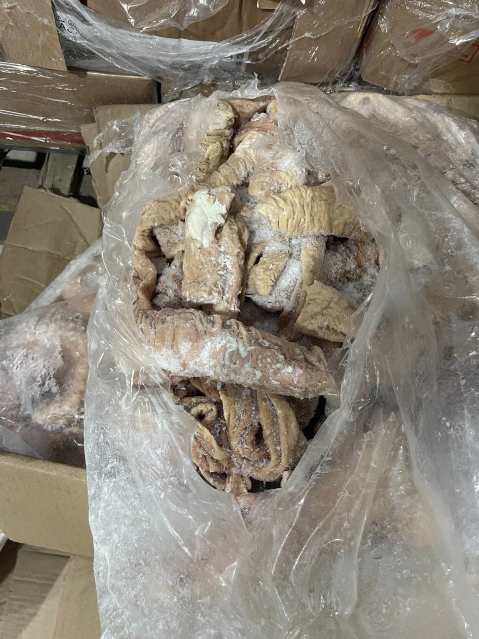 森速区一冷冻肉仓库被查封 涉嫌无进口证明已勒令停业