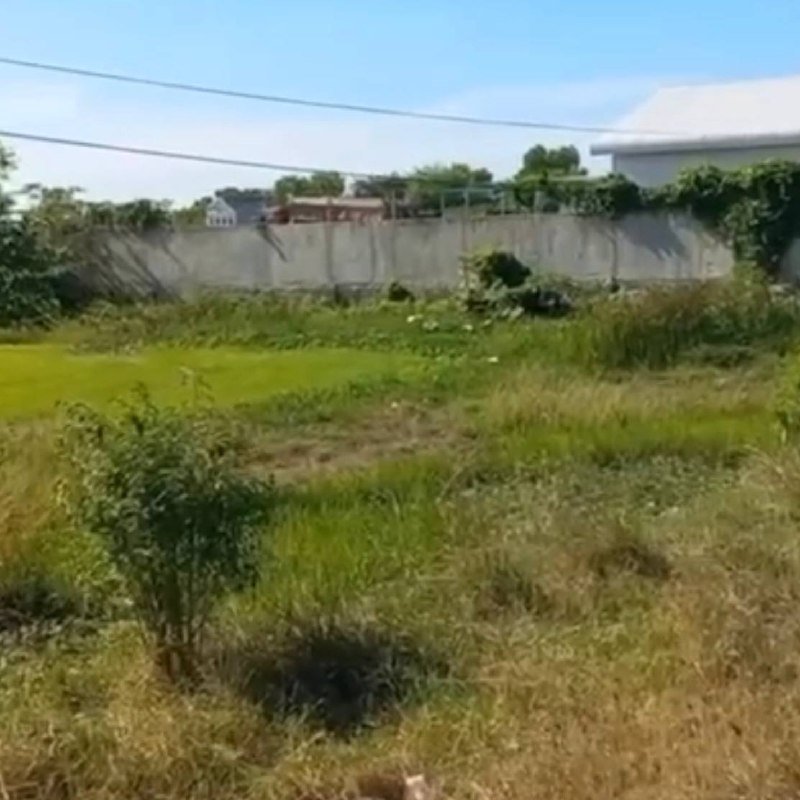 金边国际机场(新机场)附近出售一块3.7公顷土地,拥有硬卡产
