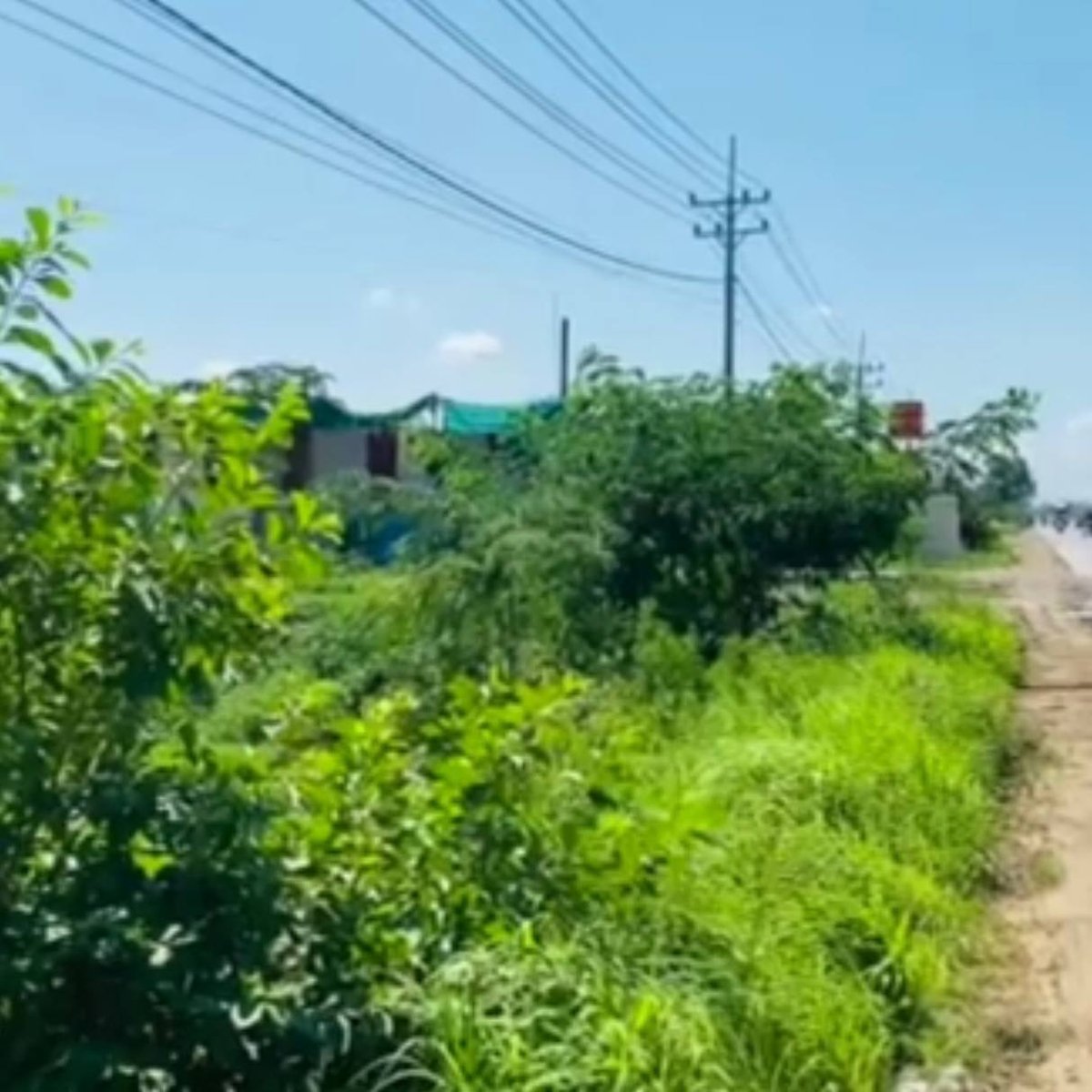 金边新机场附近习近平大道11公顷土地出售 单价$190