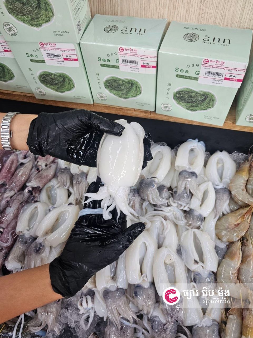 集茂商超永盛路店上新贡布海鲜 螃蟹虾类空运到货