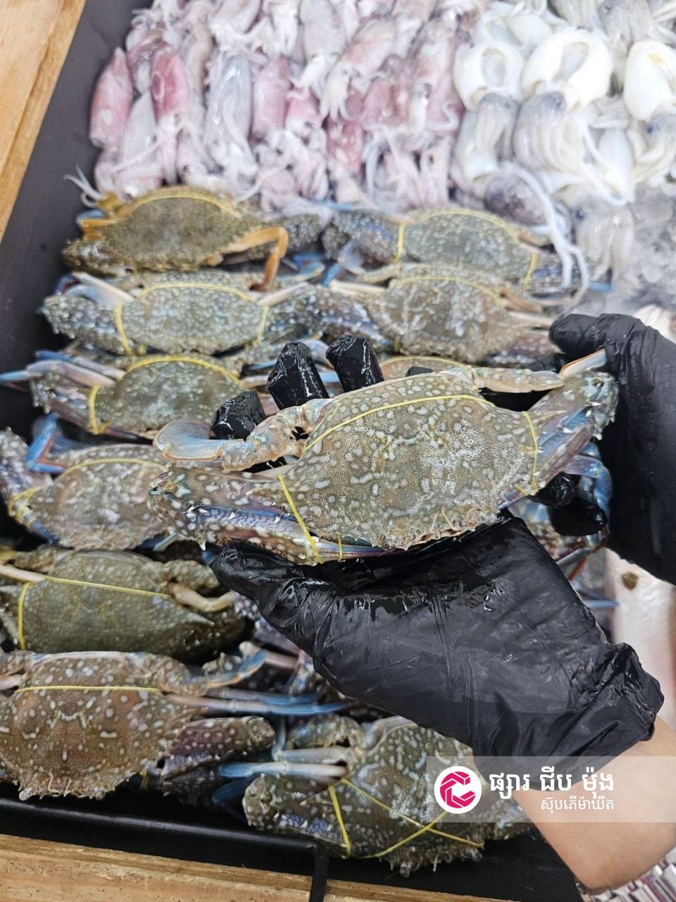 集茂商超永盛路店上新贡布海鲜 螃蟹虾类空运到货