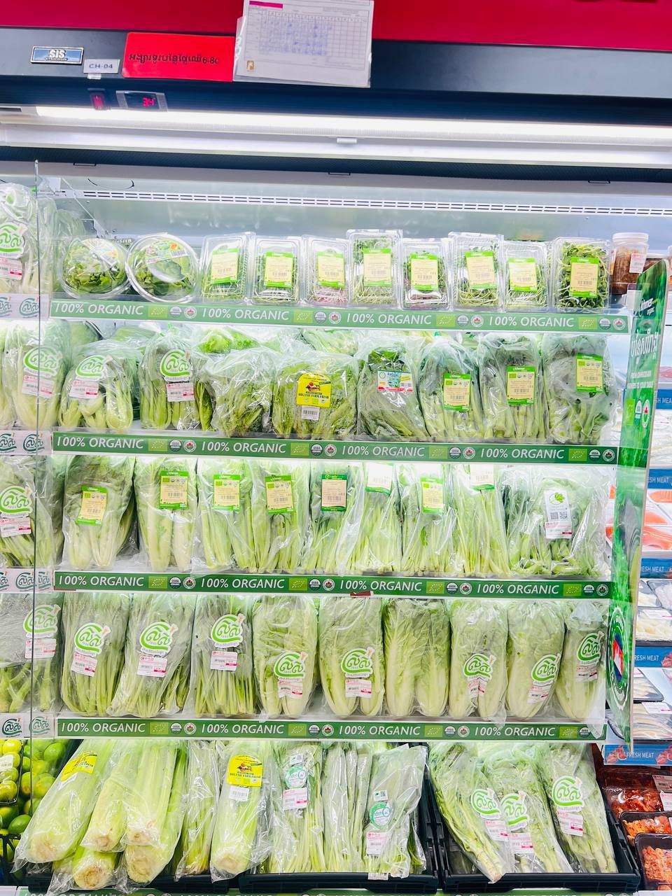 集茂超市全线促销本地新鲜蔬菜 价格实惠品质保证