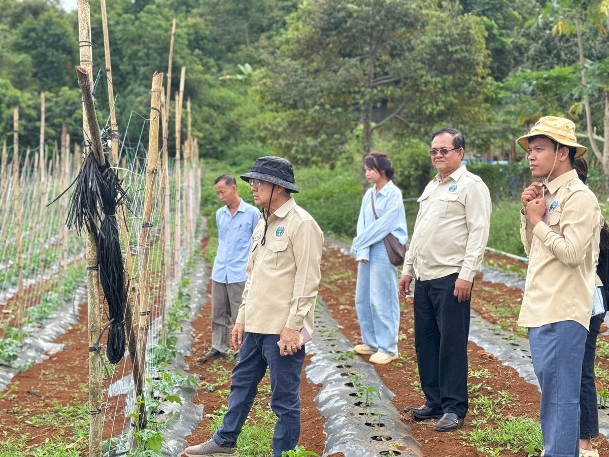 农业部官员赴蒙多基里省考察 重点调研榴莲咖啡种植