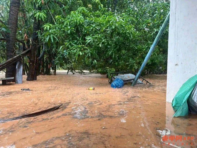 西港突遭强降雨袭击 多处民宅内涝积水深及腰部