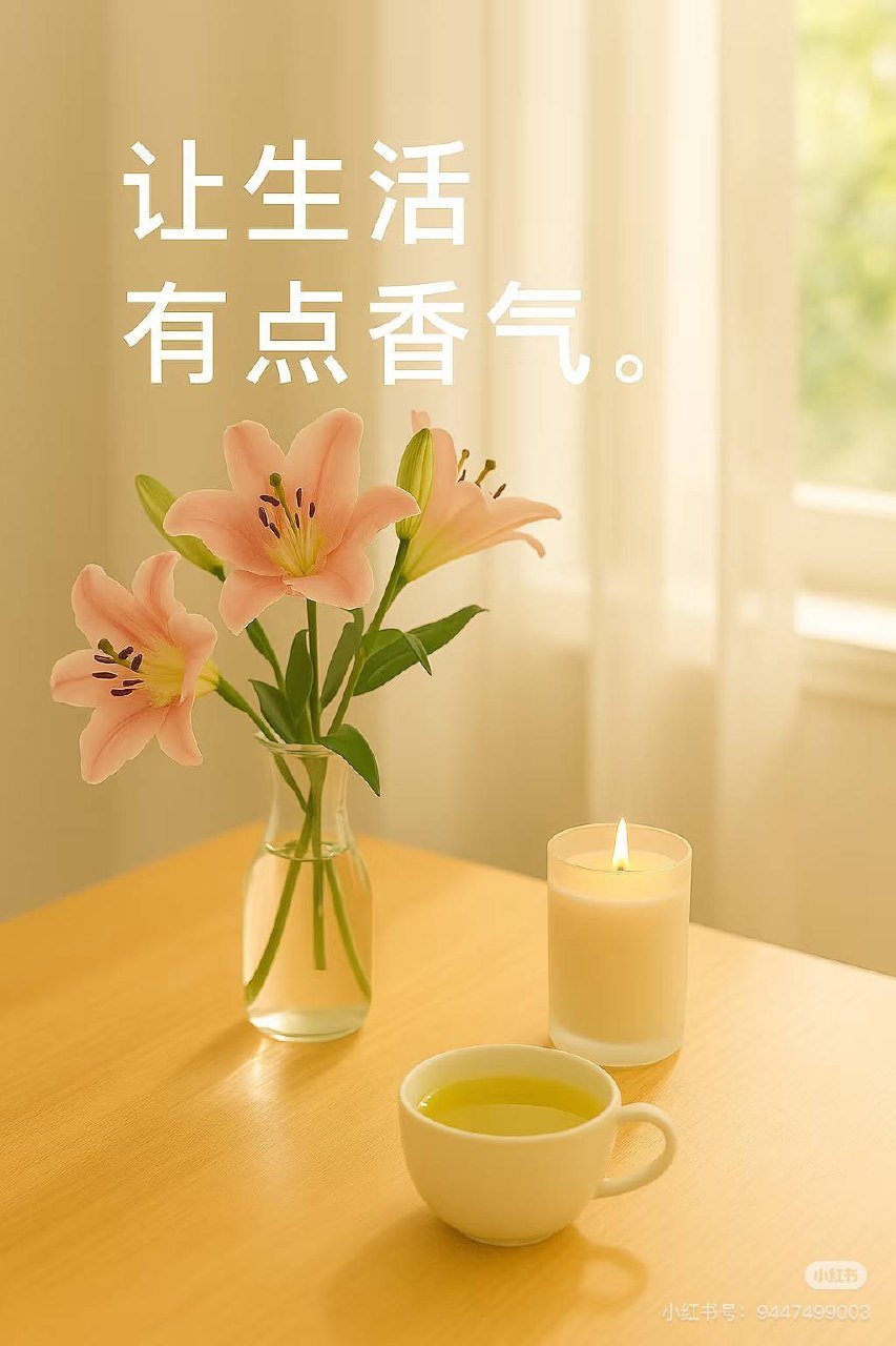 木牌港日韩免税店开业 护肤彩妆全柬发货