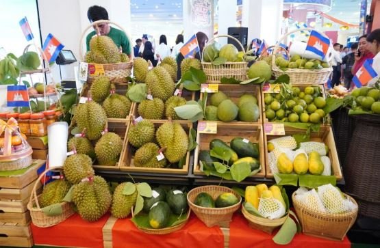洪森称柬埔寨商品已替代泰国货 市场份额显著提升