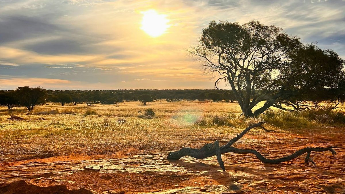 澳大利亚预警厄尔尼诺现象 柬埔寨或面临极端气候