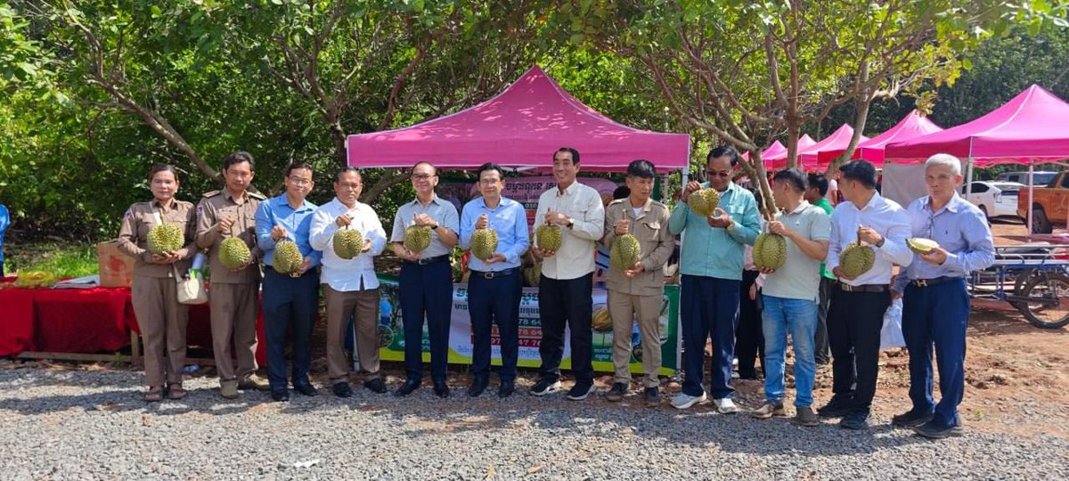 磅湛省榴莲生产者协会正式成立 规范化管理提升出口品质