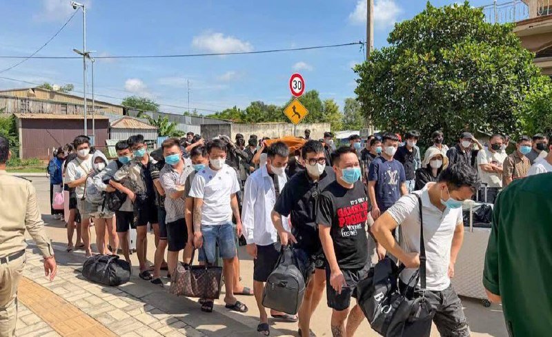 98名越南籍涉案人员因网络诈骗被柬埔寨遣返