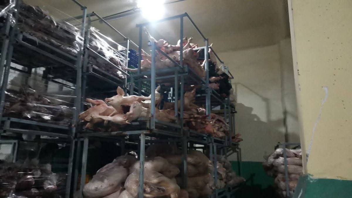 森速区一大型冷冻肉仓库遭突击检查 涉案肉类数百吨