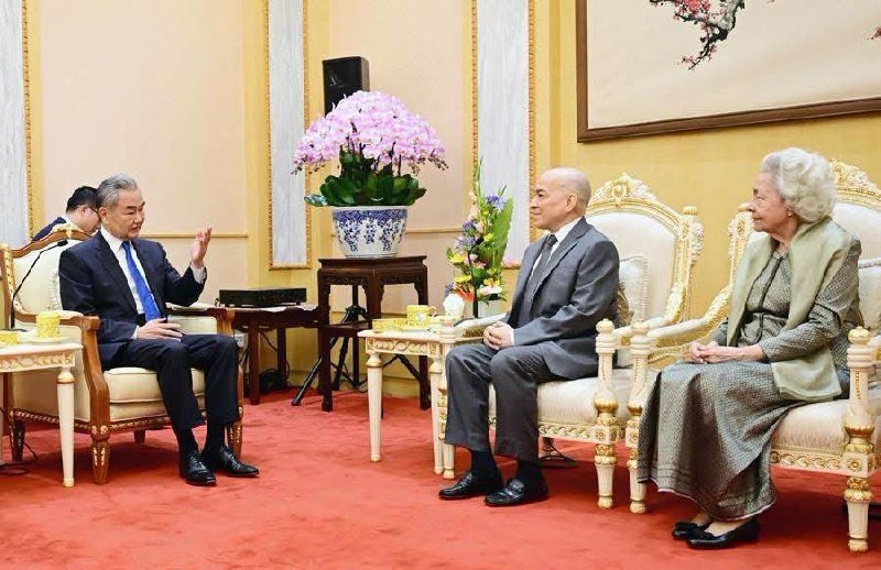 王毅看望西哈莫尼国王与莫尼列太后 重申中柬友谊