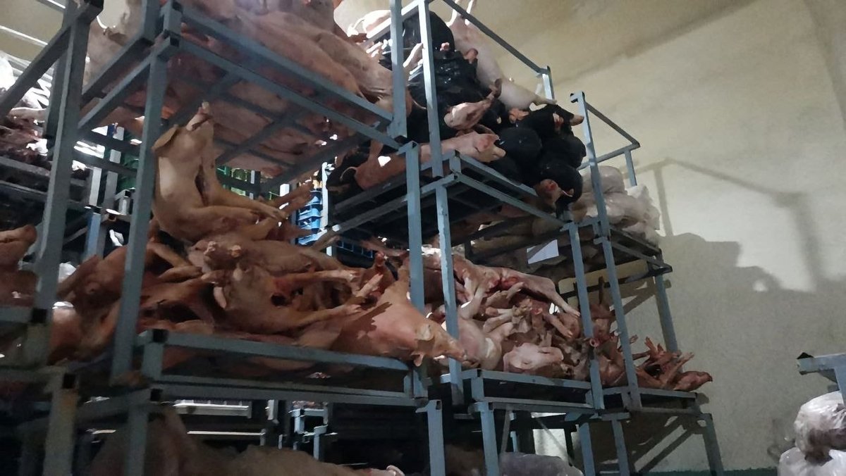 森速区一冷冻肉仓库被查 警方现场查获数吨走私肉