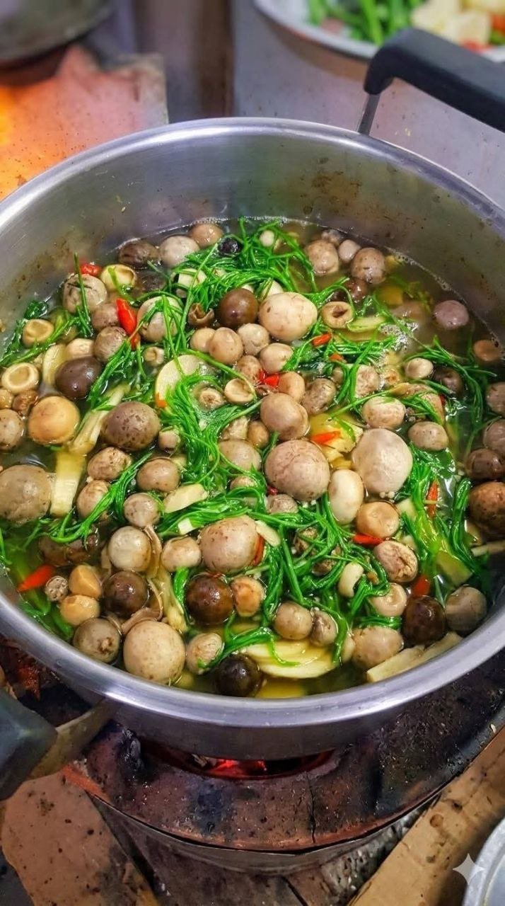 季节性野生菌类(Pok Mushroom)现已上市,提供两种