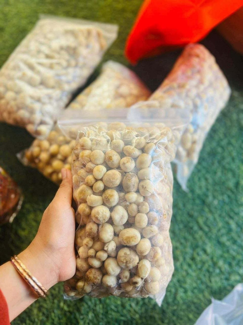 季节性野生菌类(Pok Mushroom)现已上市,提供两种