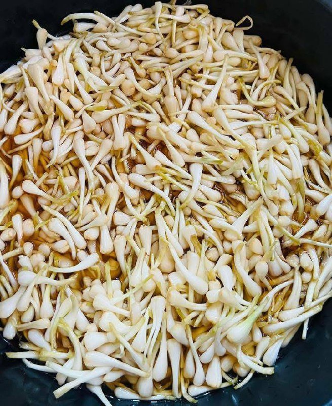 金边本地商家推出手工腌制高棉特色蒜头,口感清脆,选用新鲜高棉
