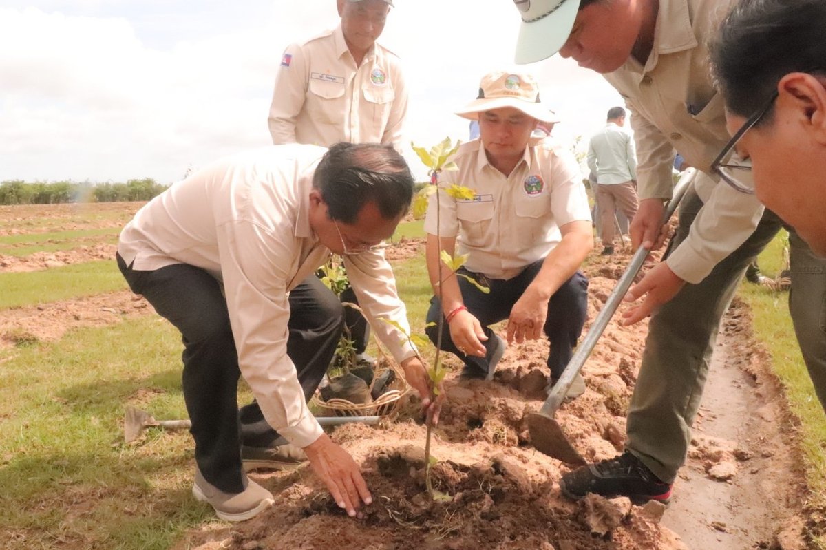 暹粒省普克县启动湿地植树活动 2000株树苗已栽种