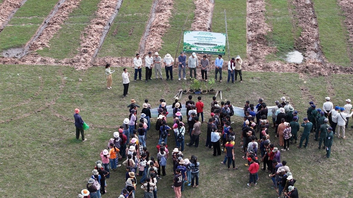 暹粒省普克县启动湿地植树活动 2000株树苗已栽种
