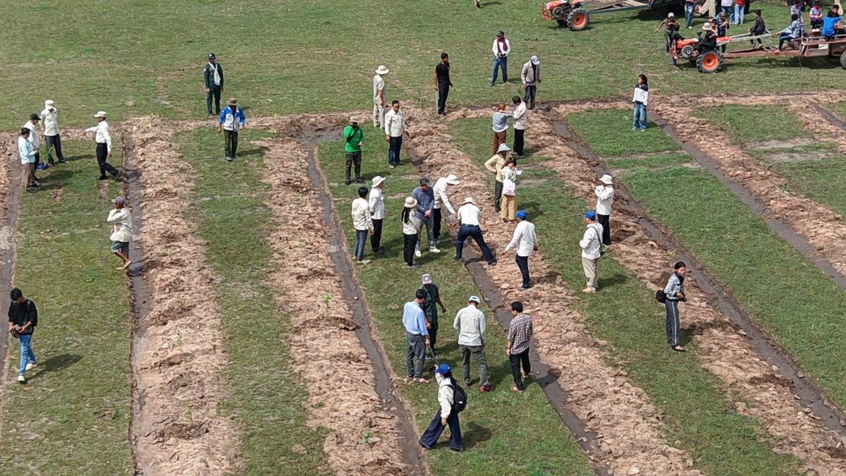 暹粒省普克县启动湿地植树活动 2000株树苗已栽种