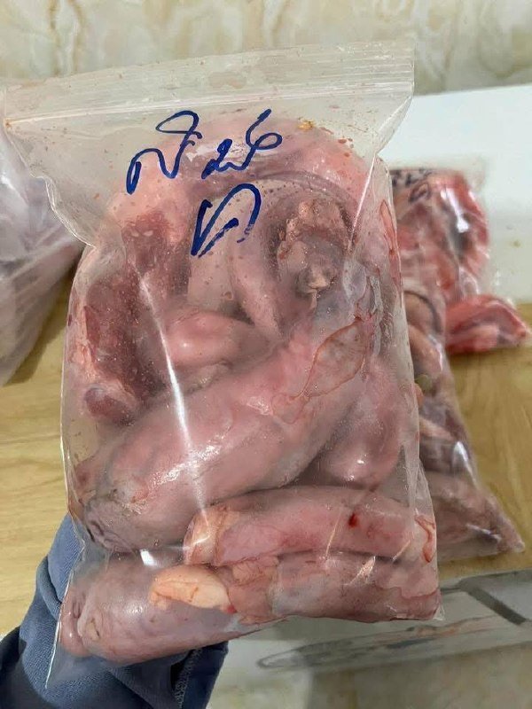 金边新鲜本地牛鞭上市 售价$14.5/kg 每日现杀供应