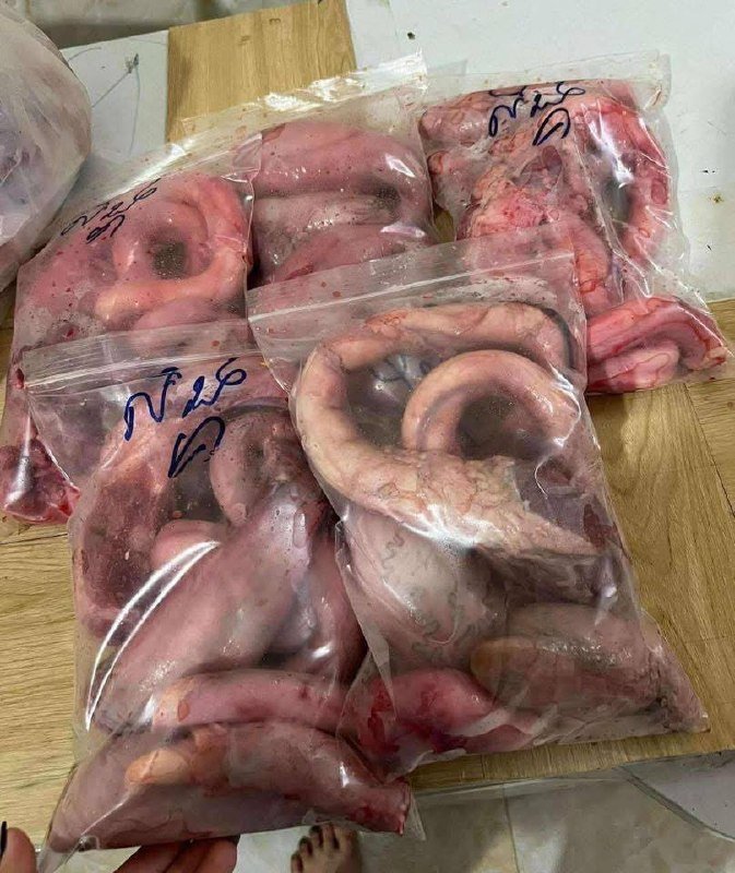 金边新鲜本地牛鞭上市 售价$14.5/kg 每日现杀供应