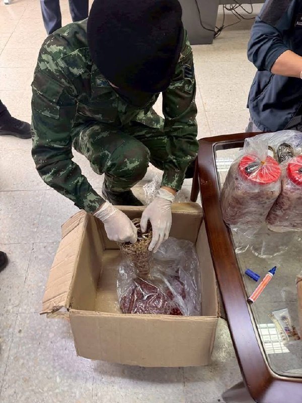 美塞边境查获4.9公斤走私鸦片 藏匿于食品袋中