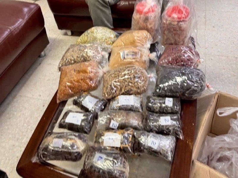 美塞边境查获4.9公斤走私鸦片 藏匿于食品袋中