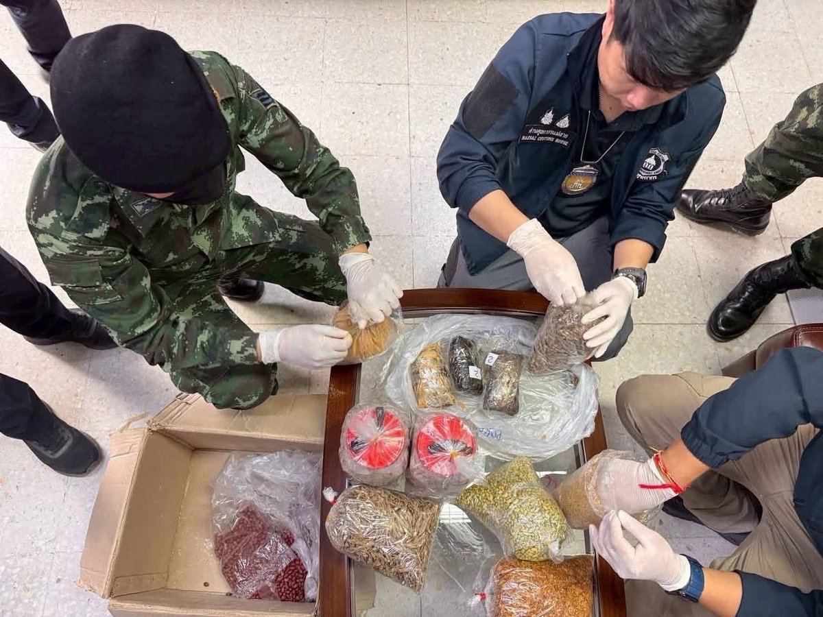 美塞边境查获4.9公斤走私鸦片 藏匿于食品袋中