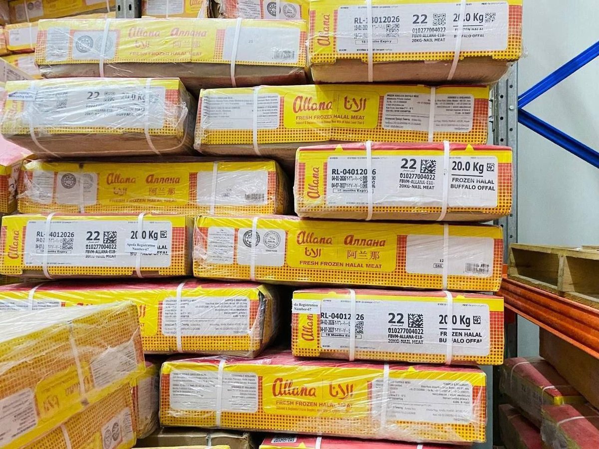 金边警方突袭电诈窝点与非法冻肉 抓获多名外籍嫌犯