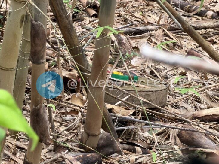 泰方称在宗博地区发现反坦克地雷 拟向东盟观察员投诉