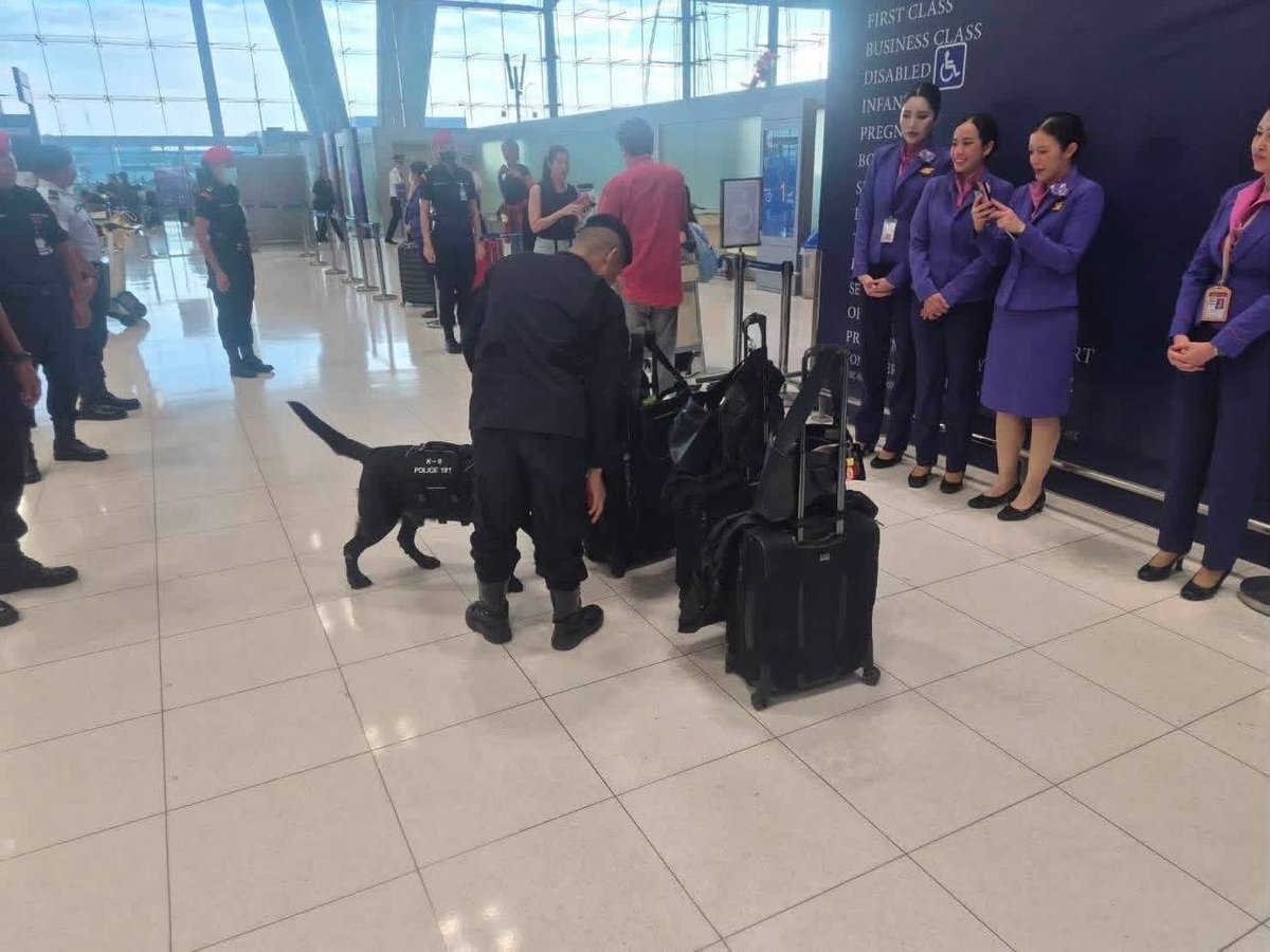 素万那普国际机场开展警犬缉毒检查 严防毒品出境