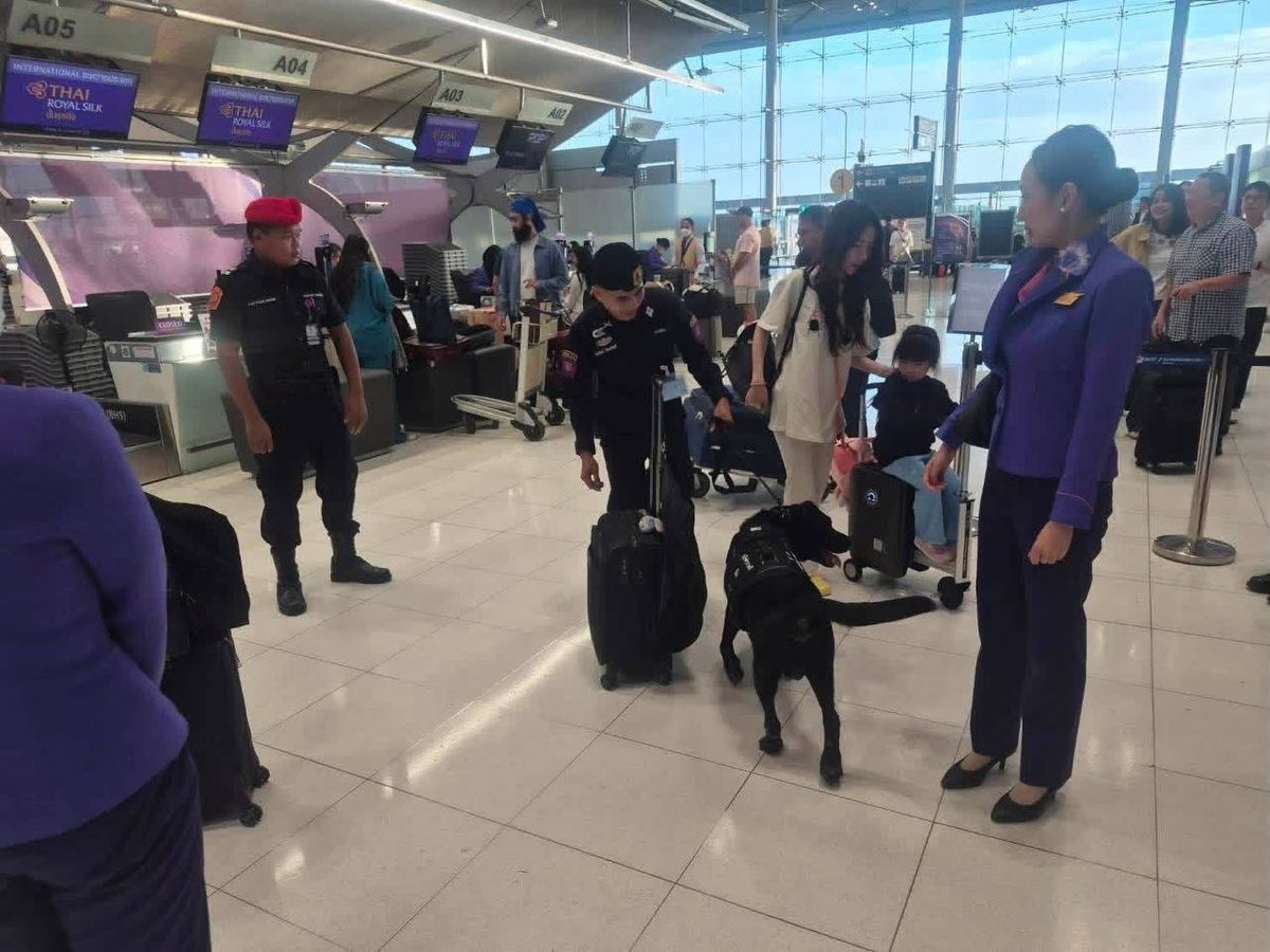 素万那普国际机场开展警犬缉毒检查 严防毒品出境