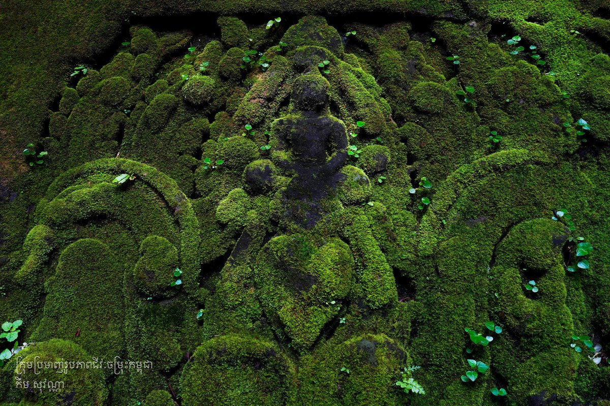 暹粒正式进入雨季,吴哥窟周边植被呈现翠绿色,景观独特