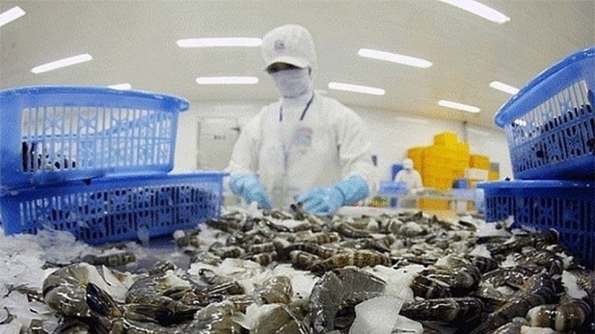 越南海产品出口重心转向中国 欧美贸易壁垒促使市场转移