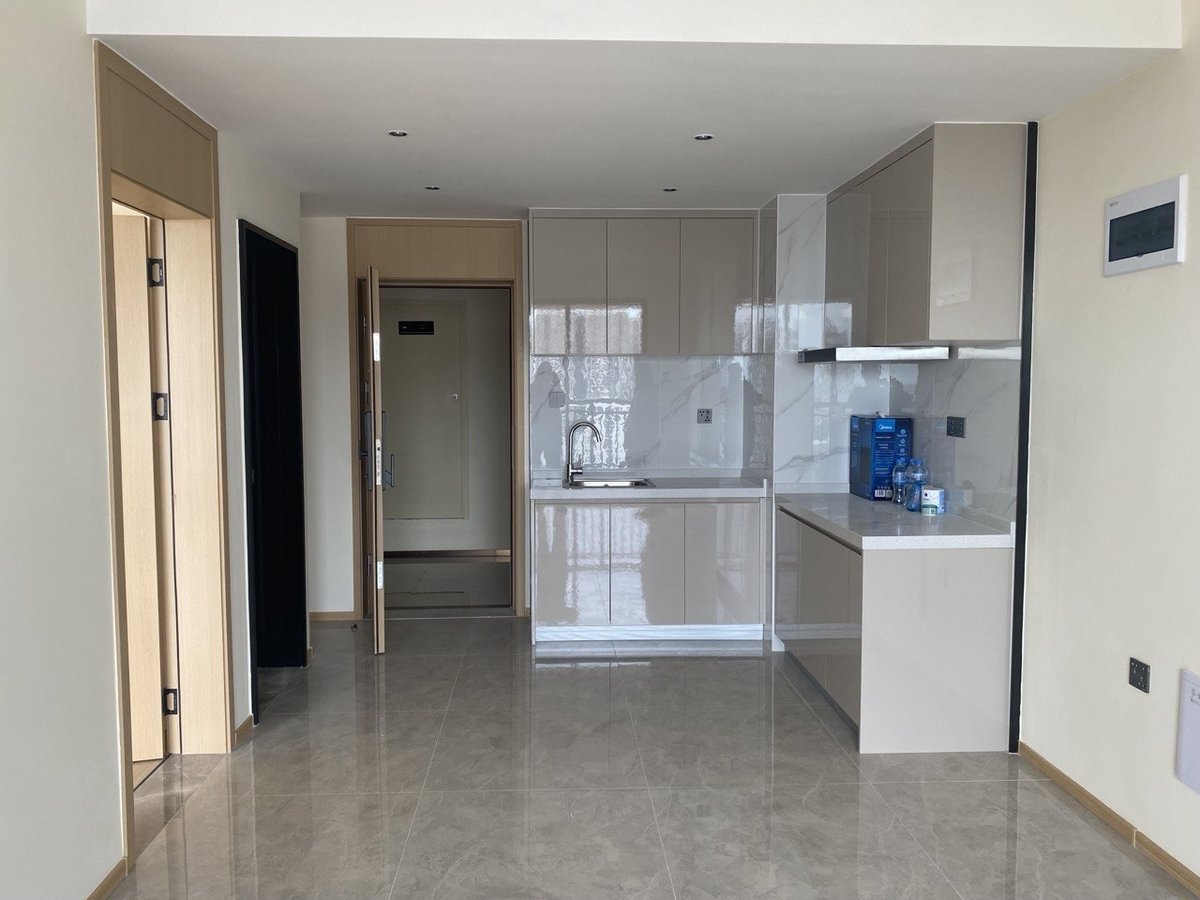 百色河分区The Pinnacle Residence 1房