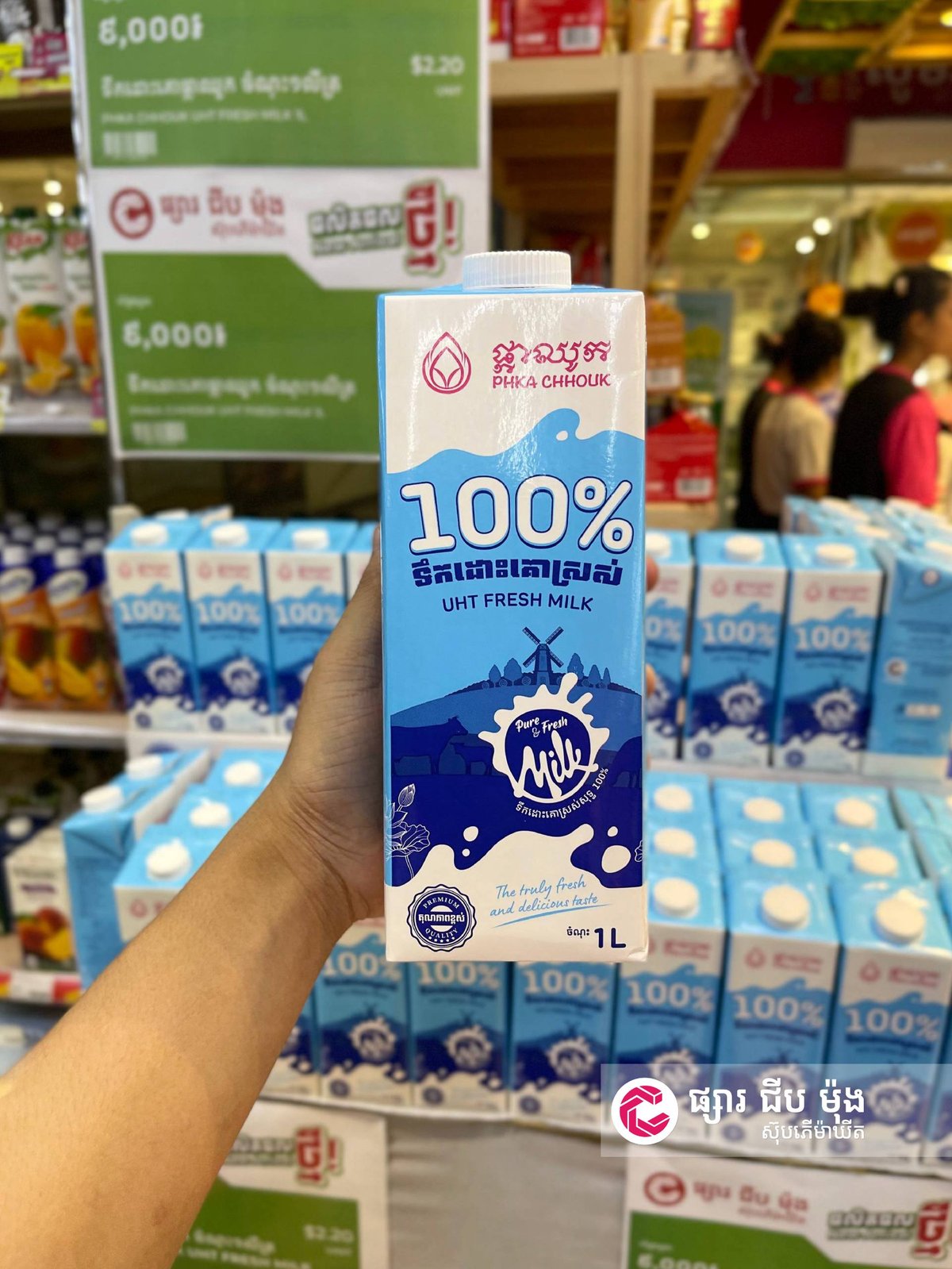 集茂超市鲜奶新品到货 专供咖啡店餐厅批发