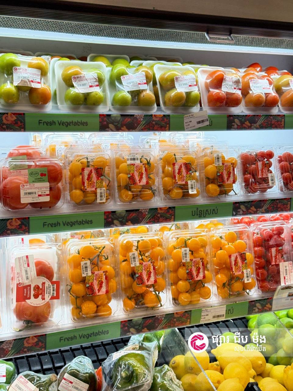 集茂超市每日新鲜蔬菜上架 全线门店特价促销
