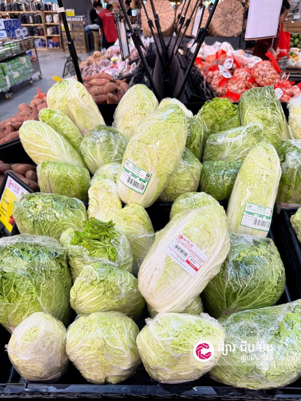 集茂超市每日新鲜蔬菜上架 全线门店特价促销