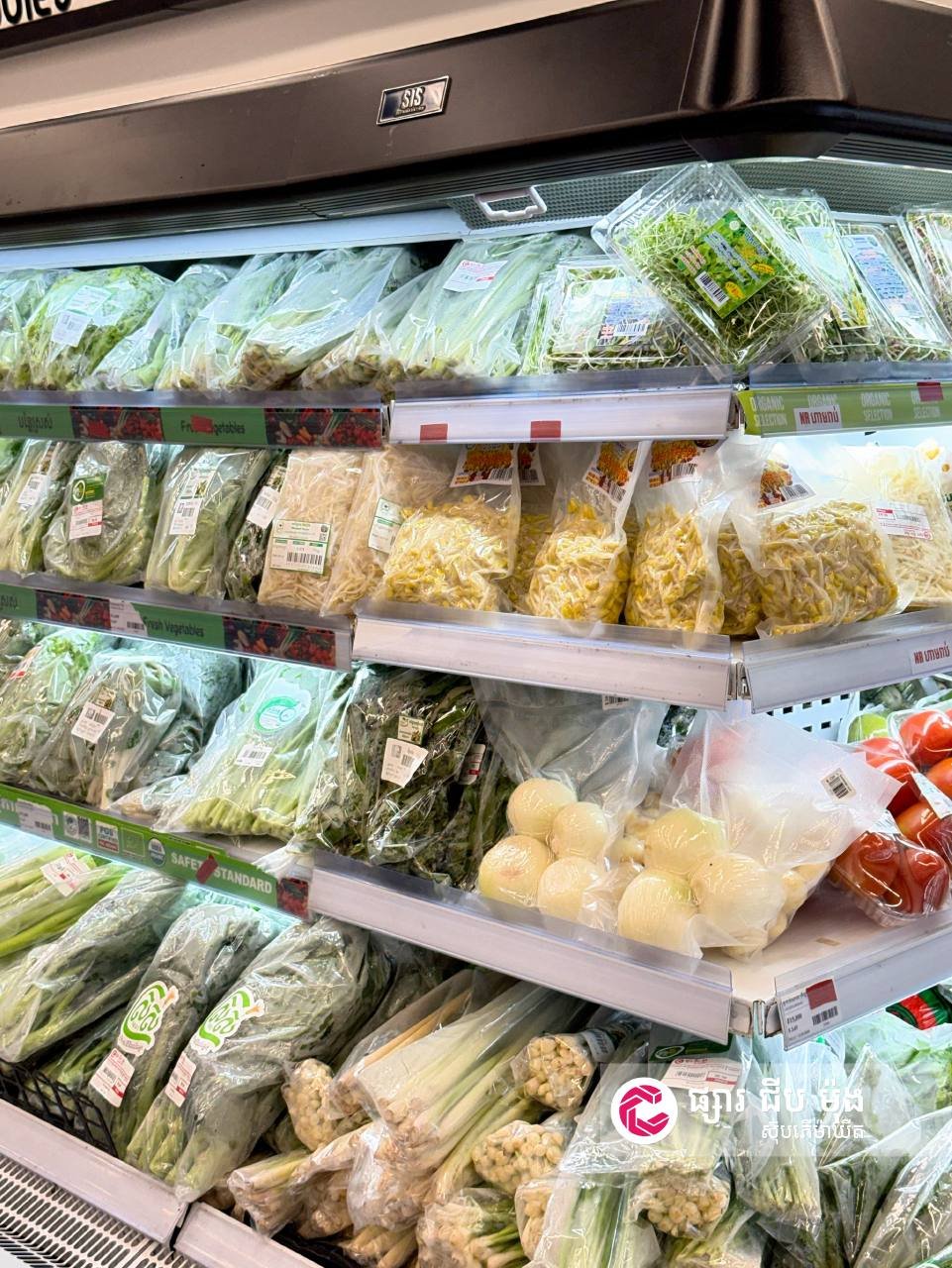 集茂超市每日新鲜蔬菜上架 全线门店特价促销