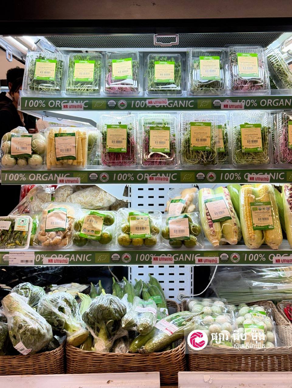 集茂超市每日新鲜蔬菜上架 全线门店特价促销