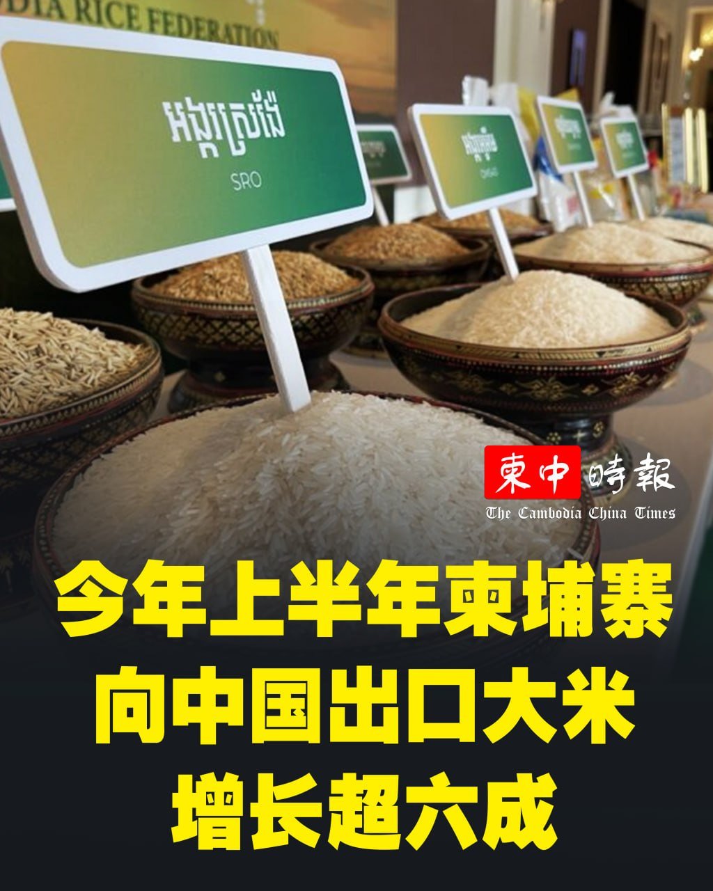 柬埔寨上半年对华出口大米17万吨 同比增长66%