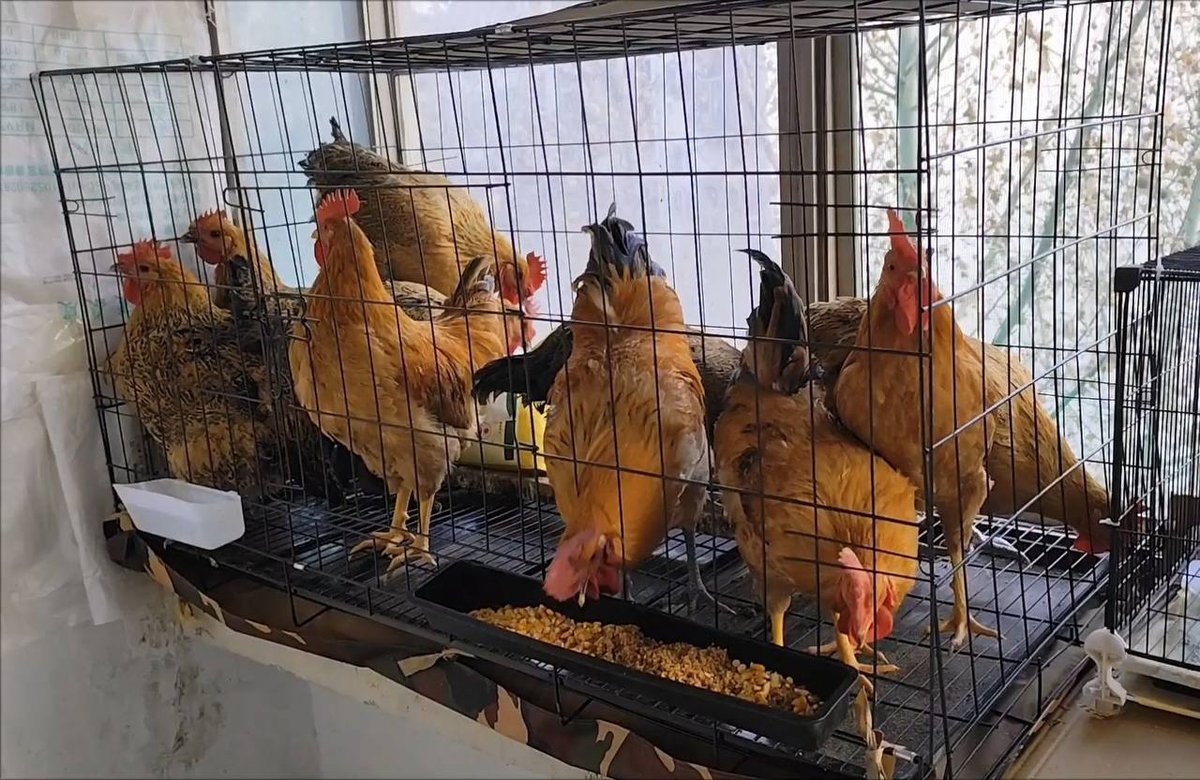 木牌24小时餐饮配送 烤肉火锅全套设备免费借用