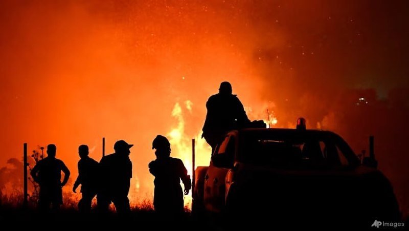 欧洲多地极端高温引发森林火灾 造成数千人死亡