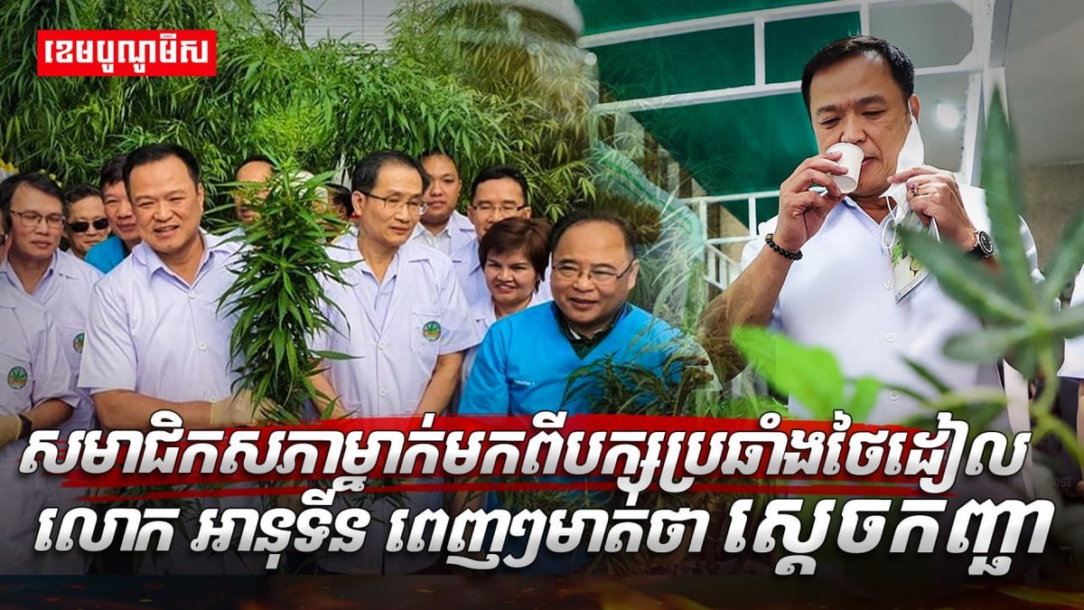 泰国议会近日就大麻政策展开激烈辩论,反对党议员公开质疑相关政