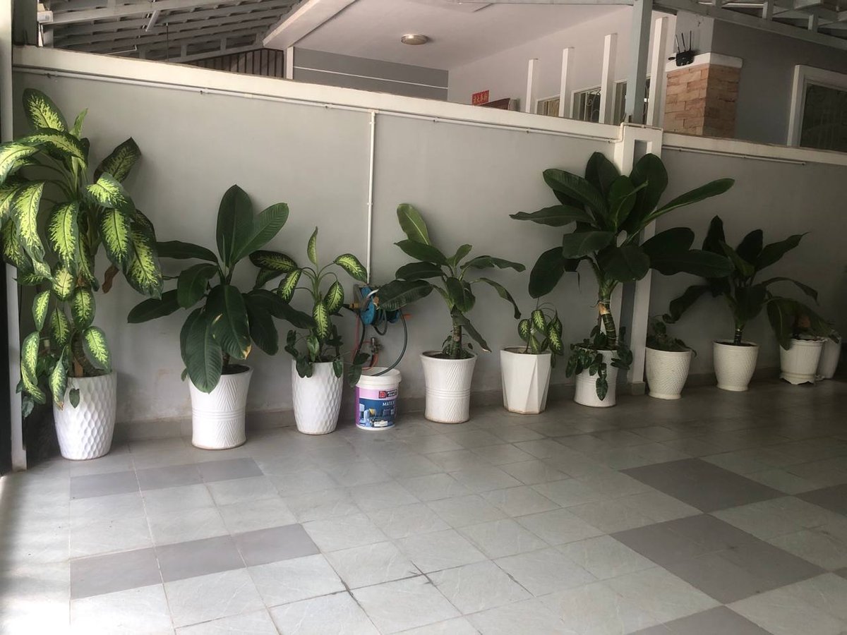 位于永旺2附近的VimeanPhnomPhenh小区,现有一